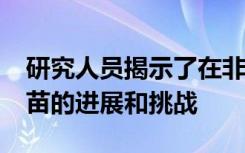 研究人员揭示了在非洲/亚洲引入伤寒结合疫苗的进展和挑战