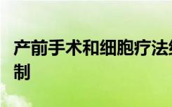 产前手术和细胞疗法组合改善脊柱裂的肢体控制