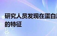 研究人员发现在蛋白质合成过程中形成机械力的特征