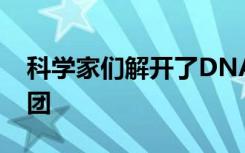 科学家们解开了DNA复制的方式和时间的谜团