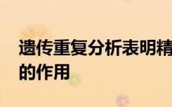 遗传重复分析表明精神分裂症中DNA不稳定的作用