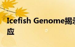 Icefish Genome揭示了对极端南极环境的适应