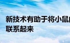 新技术有助于将小鼠的行为与影响它们的基因联系起来