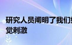 研究人员阐明了我们如何感知和识别特定的视觉刺激