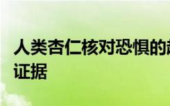 人类杏仁核对恐惧的超快速反应的第一个直接证据