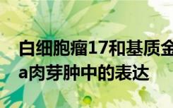 白细胞瘤17和基质金属蛋白酶9在mycetoma肉芽肿中的表达