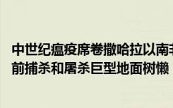 中世纪瘟疫席卷撒哈拉以南非洲的证据 证明人类在12000年前捕杀和屠杀巨型地面树懒