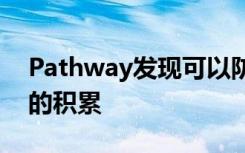 Pathway发现可以防止阿尔茨海默病蛋白质的积累