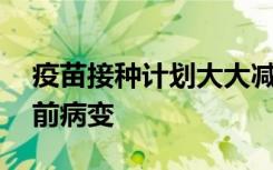 疫苗接种计划大大减少了HPV感染和宫颈癌前病变