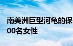 南美洲巨型河龟的保护工作已经保护了147,000名女性