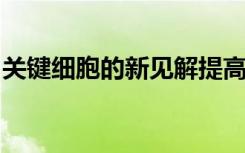 关键细胞的新见解提高了血液供应治疗的价格