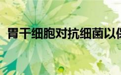 胃干细胞对抗细菌以保护自己免受癌症侵害