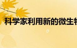 科学家利用新的微生物研究技术打击了污垢