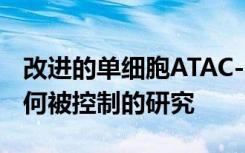 改进的单细胞ATAC-seq方法扩大了对基因如何被控制的研究