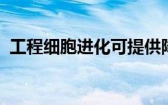 工程细胞进化可提供降低化疗耐药性的途径