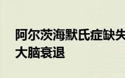 阿尔茨海默氏症缺失的链接ID回答了为什么大脑衰退