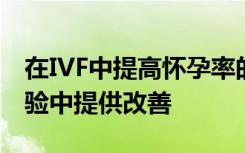 在IVF中提高怀孕率的流行策略未能在大型试验中提供改善