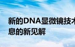 新的DNA显微镜技术提供了对细胞基因组信息的新见解