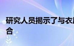 研究人员揭示了与衣原体致病性相关的细菌融合