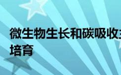 微生物生长和碳吸收主要是由自然驱动而不是培育