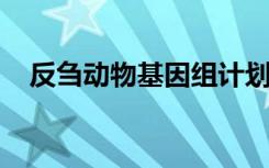 反刍动物基因组计划揭示了鹿的秘密生命