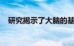 研究揭示了大脑的基本结构是如何形成的