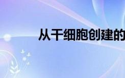 从干细胞创建的感觉中间神经元