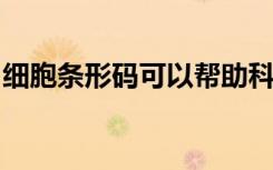 细胞条形码可以帮助科学家了解干细胞的行为