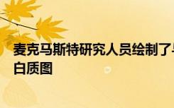 麦克马斯特研究人员绘制了与阿尔茨海默氏症相关的有毒蛋白质图