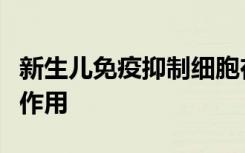 新生儿免疫抑制细胞在控制早年炎症中起重要作用