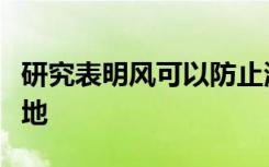 研究表明风可以防止海鸟进入其最重要的栖息地