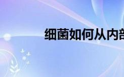 细菌如何从内部杀死宿主细胞