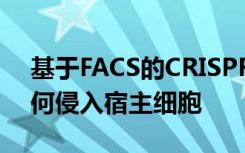 基于FACS的CRISPR筛选显示衣原体细菌如何侵入宿主细胞