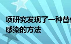 项研究发现了一种替代抗生素治疗绿海龟细菌感染的方法