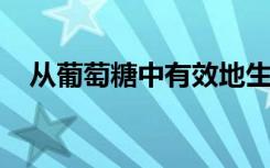 从葡萄糖中有效地生产脂肪酸和生物燃料