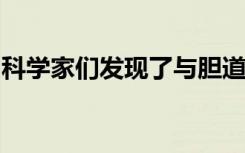 科学家们发现了与胆道闭锁相关的基因存活率