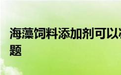 海藻饲料添加剂可以减少牲畜甲烷但却存在问题