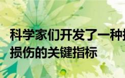 科学家们开发了一种探针可测量肺部深部组织损伤的关键指标