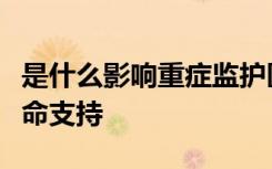 是什么影响重症监护医生撤回脑损伤患者的生命支持