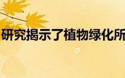 研究揭示了植物绿化所必需的难以捉摸的过程