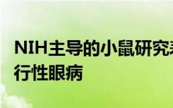 NIH主导的小鼠研究表明免疫系统可以减缓退行性眼病