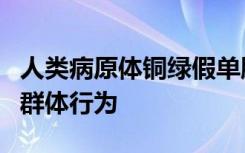 人类病原体铜绿假单胞菌使用群体感应来协调群体行为