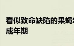 看似致命缺陷的果蝇幼虫如何能够存活并进入成年期