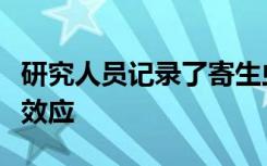 研究人员记录了寄生虫对水下生态系统的连锁效应