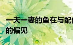 一夫一妻的鱼在与配偶分离时发现表现出悲观的偏见