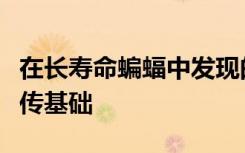 在长寿命蝙蝠中发现的延长寿命和抗癌性的遗传基础