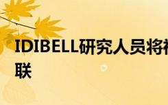 IDIBELL研究人员将神经肽与执行功能负相关联