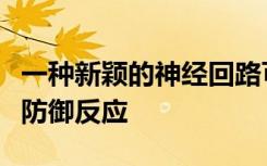 一种新颖的神经回路可以调节视觉诱发的先天防御反应