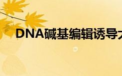 DNA碱基编辑诱导大量的脱靶RNA突变