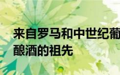 来自罗马和中世纪葡萄籽的古老DNA揭示了酿酒的祖先